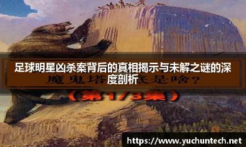 足球明星凶杀案背后的真相揭示与未解之谜的深度剖析